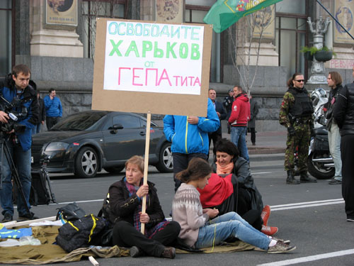 IMG 6590