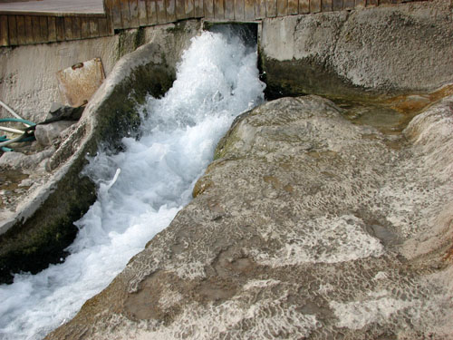 IMG 7049