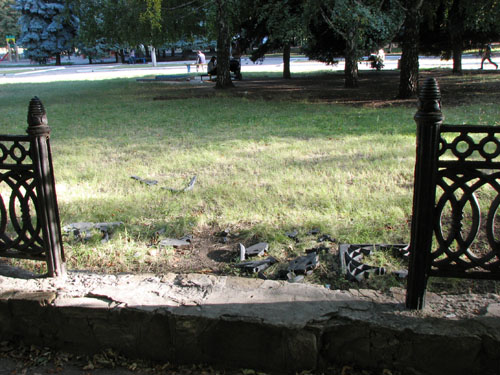 IMG 9828