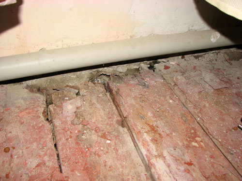 IMG 1073