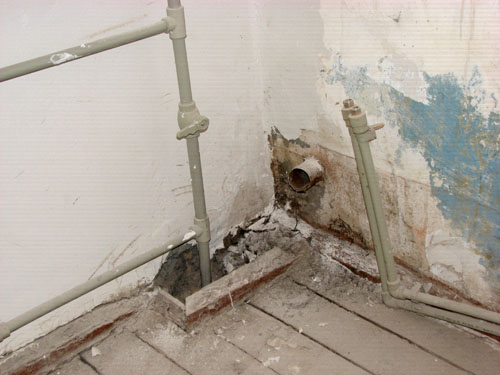 IMG 1100