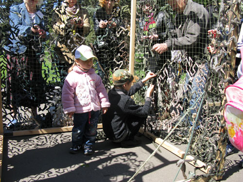 IMG 0518
