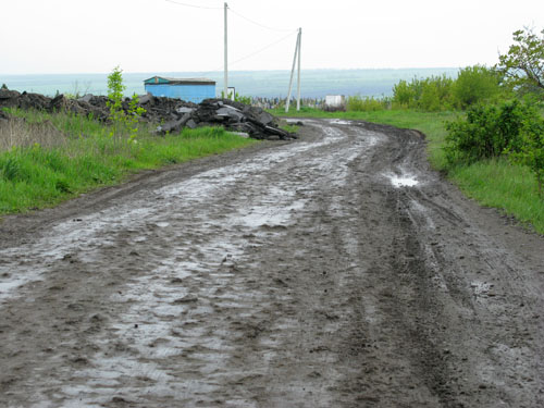 IMG 0703