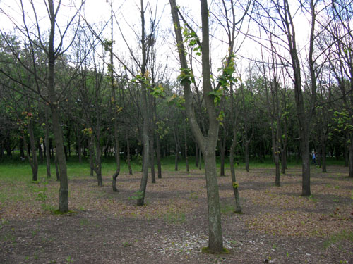 IMG 0157