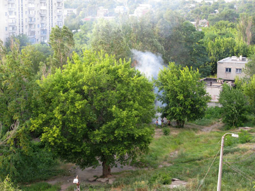 IMG 0839