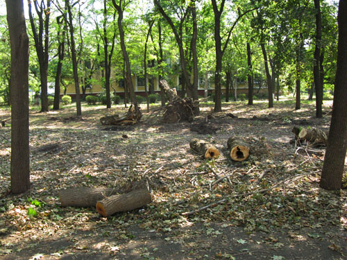 park 012