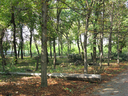 park 024