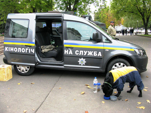 police 003