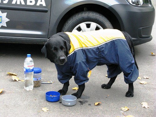 police 004