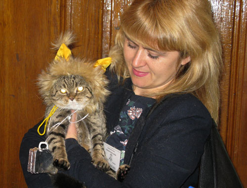 kats 002