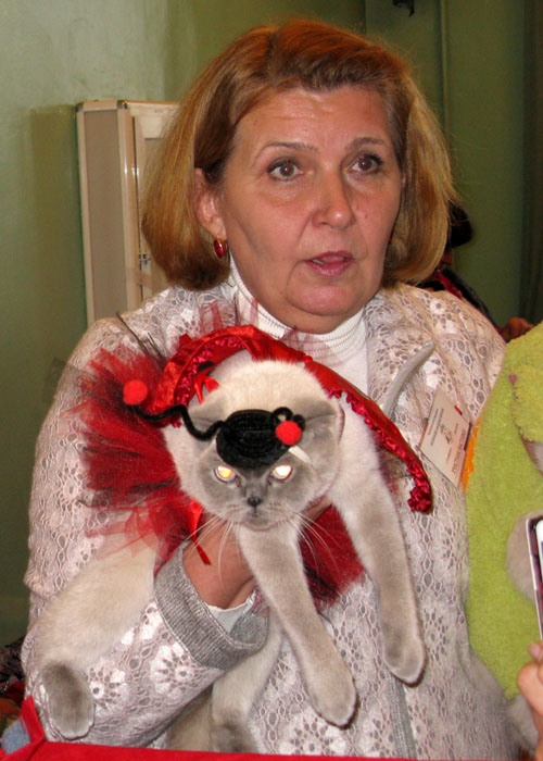kats 003-1