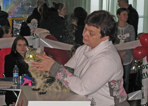 kats 006-1