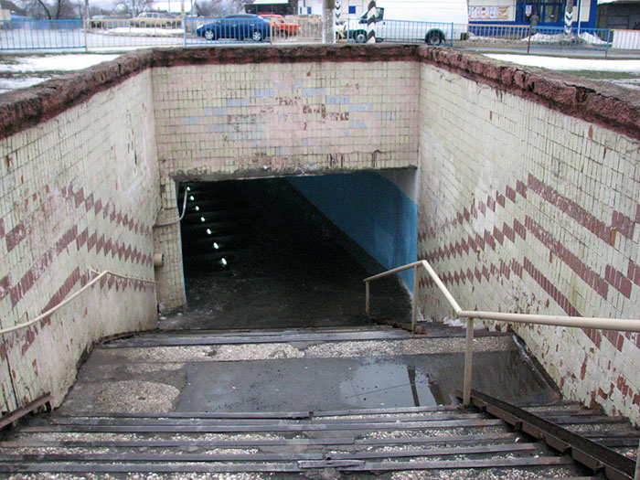 IMG 7877