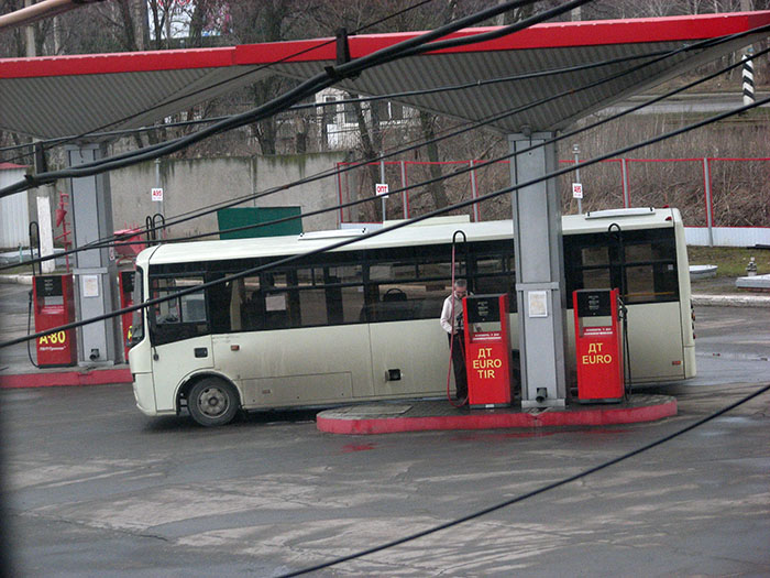 dt1