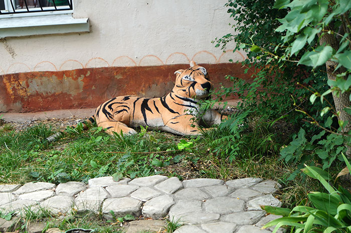 dvor6