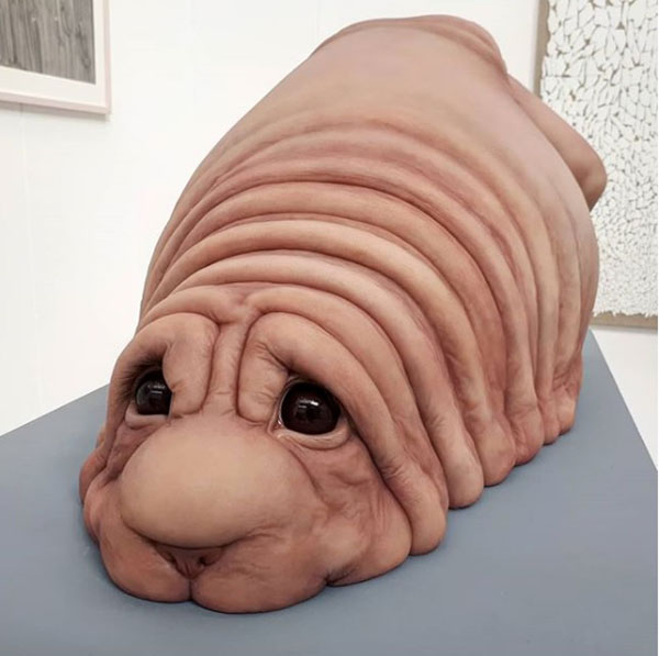 gdun2