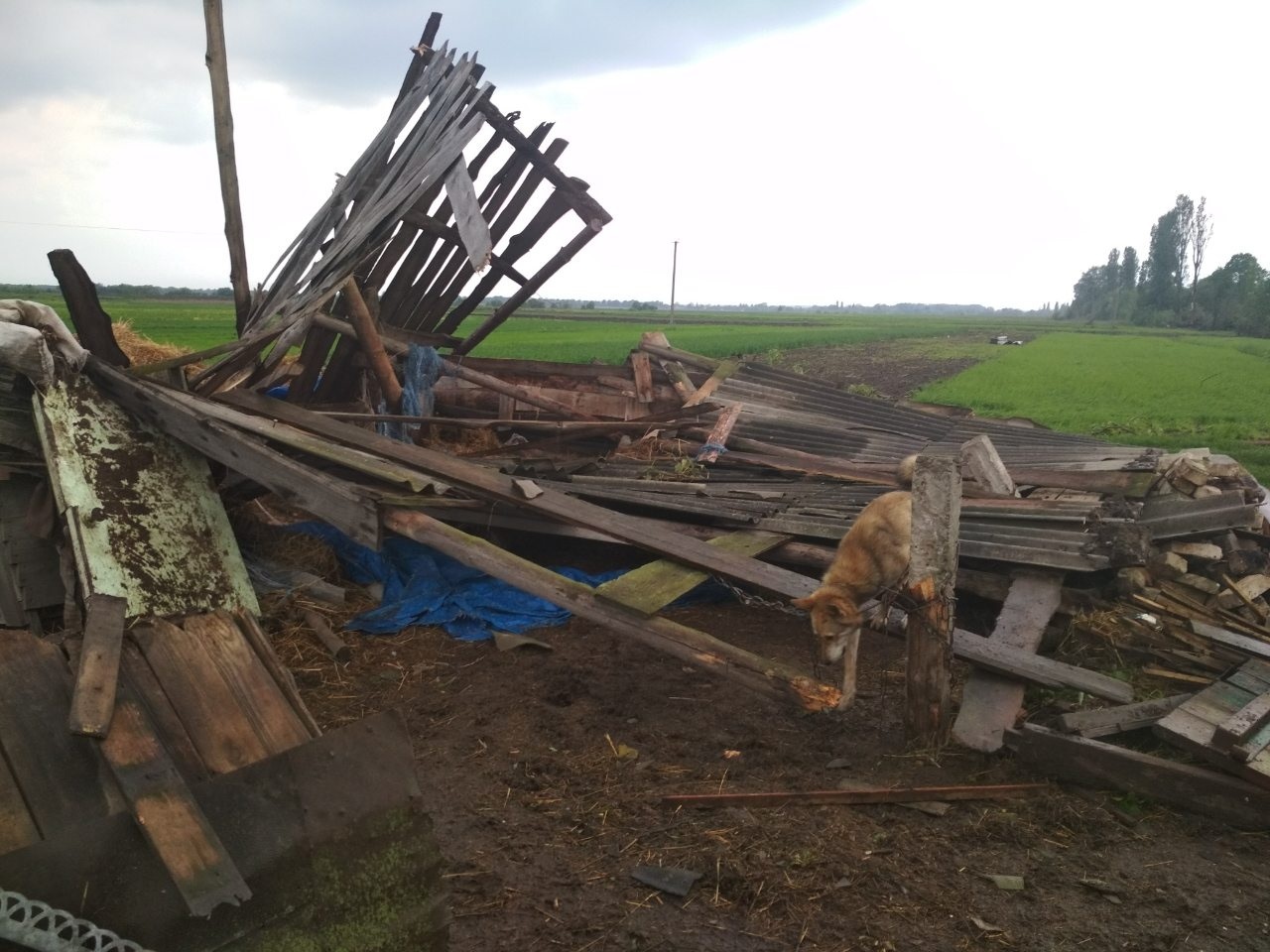 tornado1