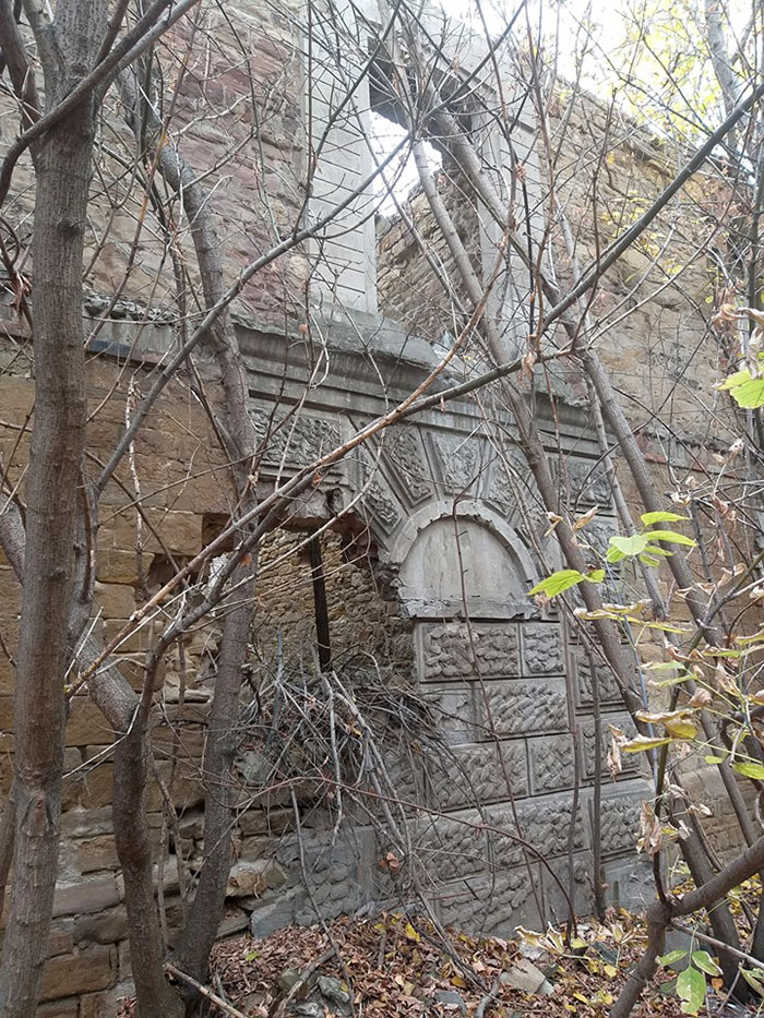 mamontov3
