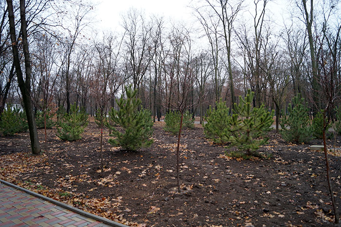 park6