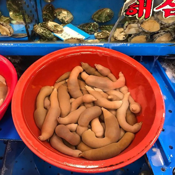 penis3