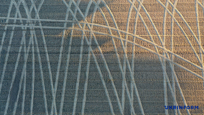 008