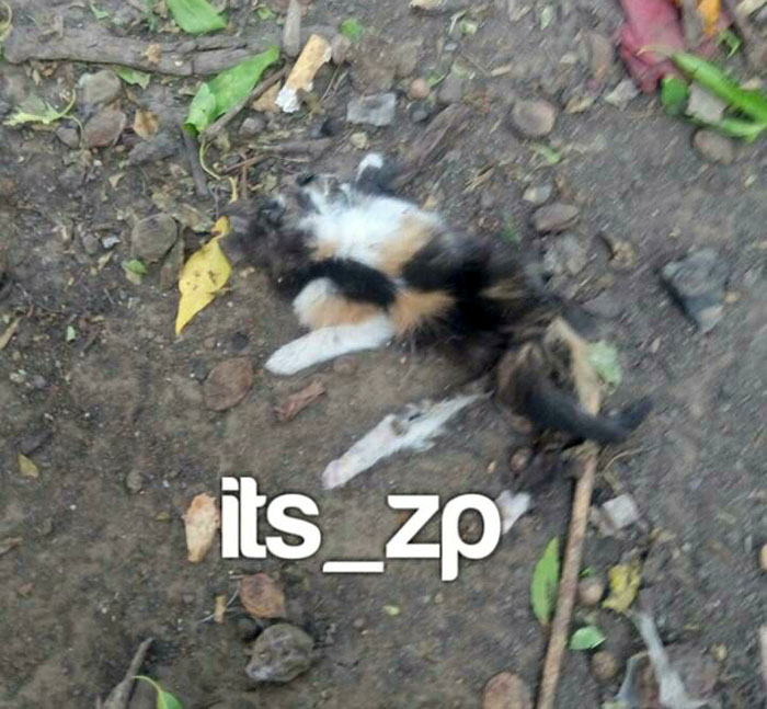 005