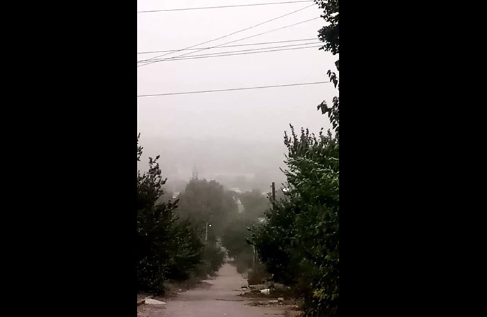 tuman7