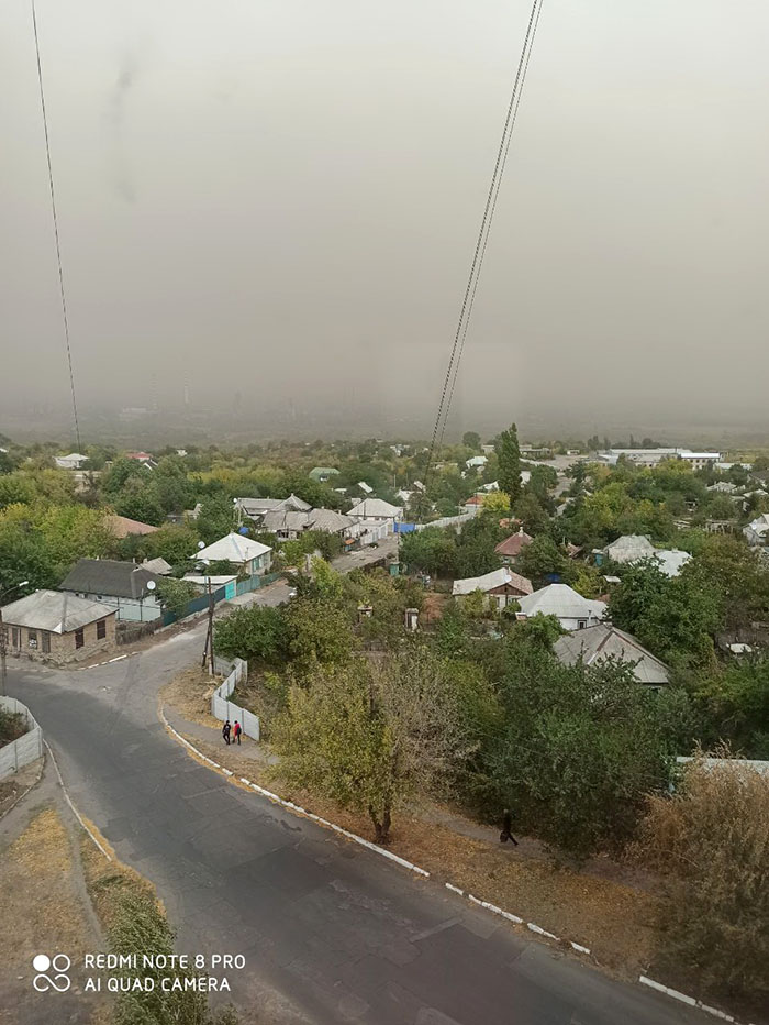 tuman9