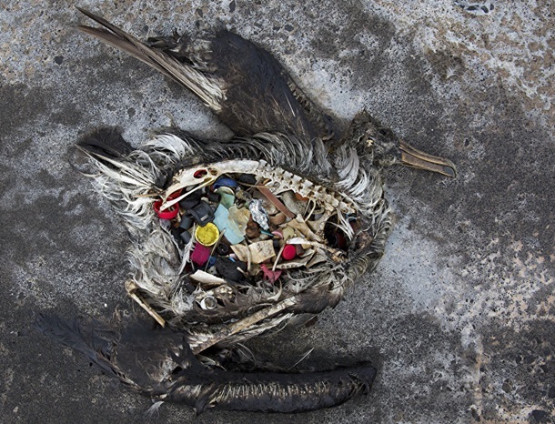 plastik2
