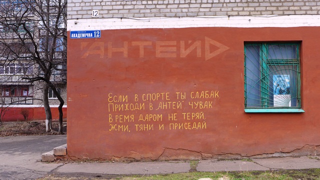 ant3