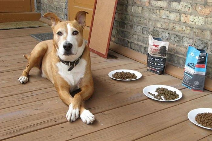 Полноценный корм Royal Canin для собак