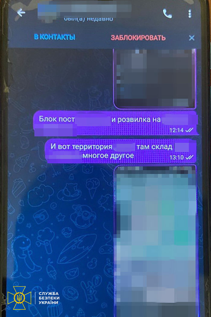 kozlina3