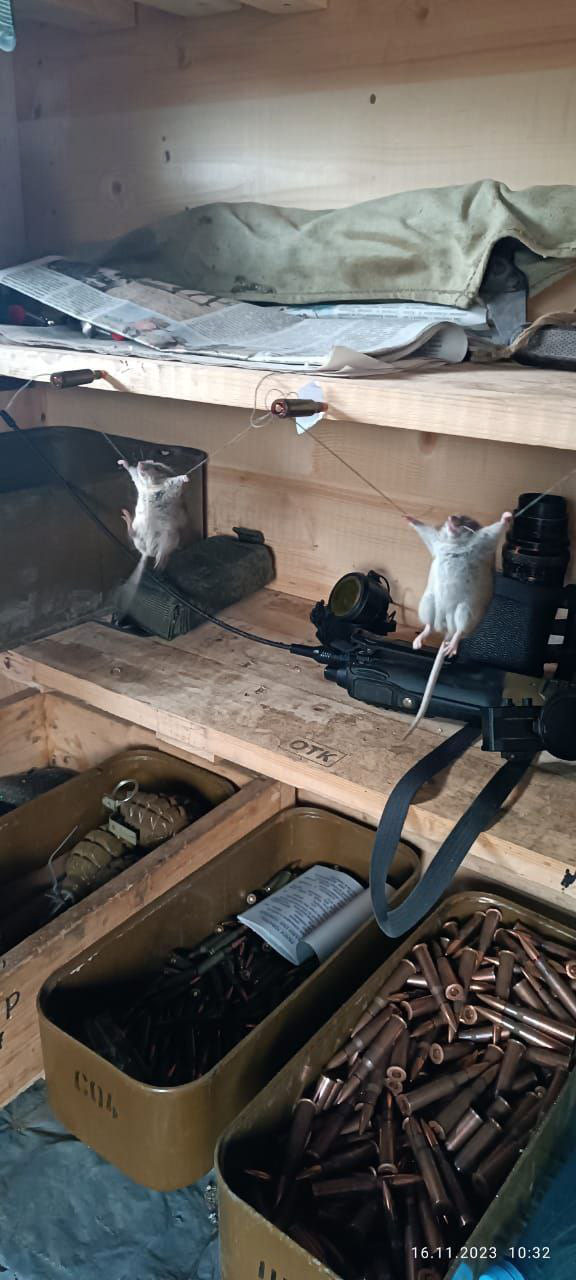 maus1