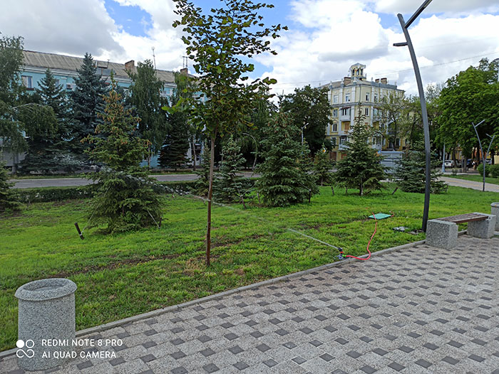 IMG 20240627 135302