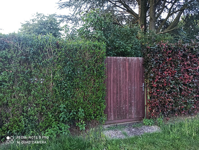 IMG 20240728 205215