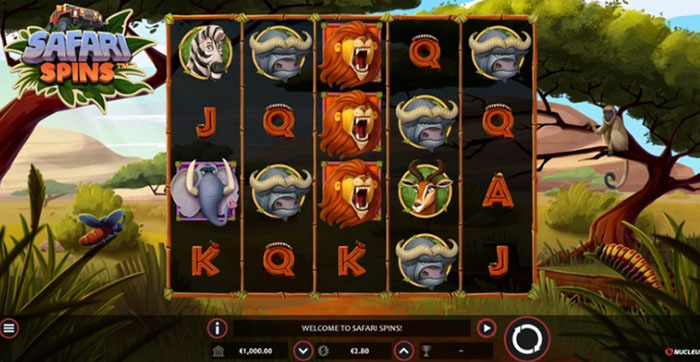 safari4