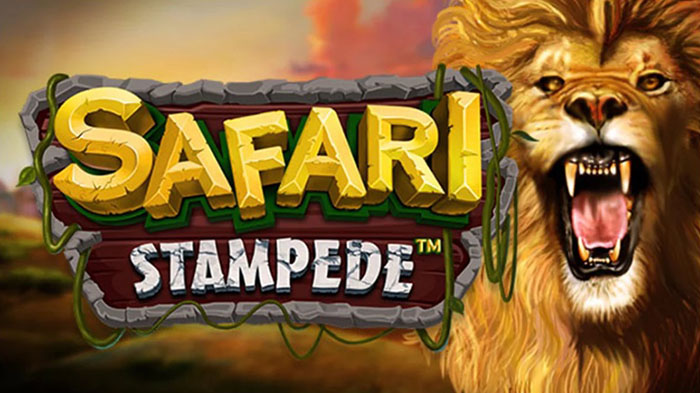 safari6