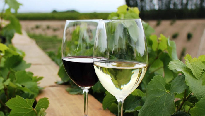 images/stories/2026/07/vino.jpg